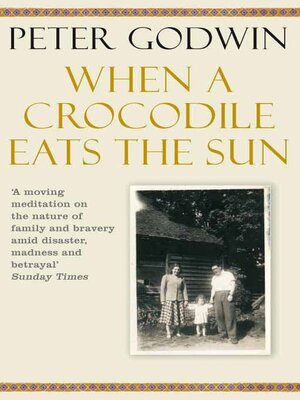 cover image of When a Crocodile Eats the Sun